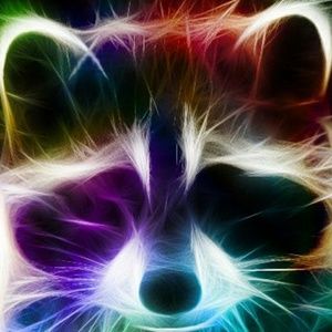 Meet your Posher, Zane